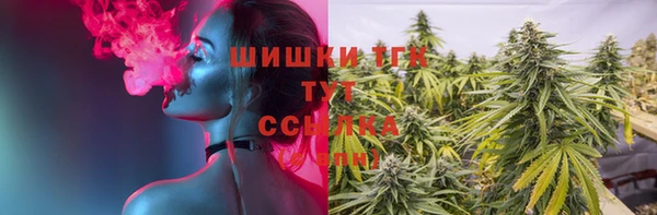 индика Белоозёрский