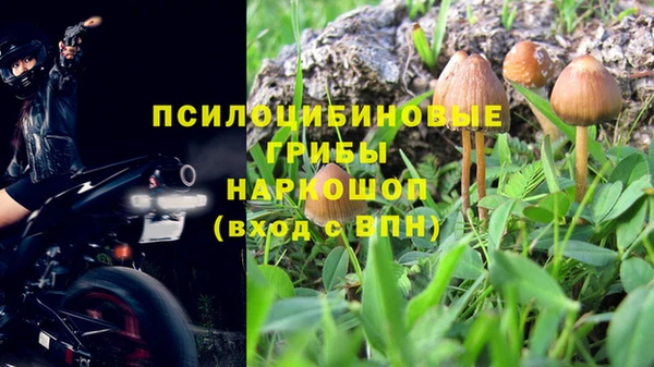 индика Белоозёрский