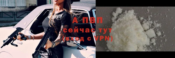 трава Белокуриха