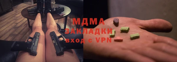 стаф Каменка