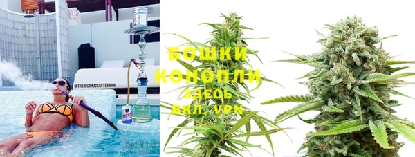трава Белокуриха