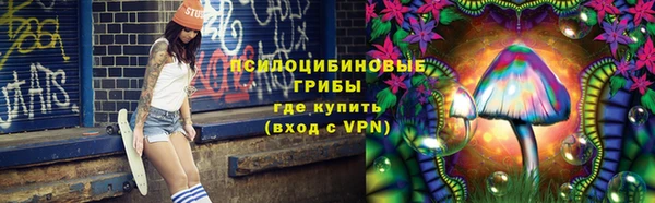 тгк Беломорск