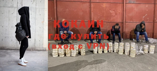 трава Белокуриха